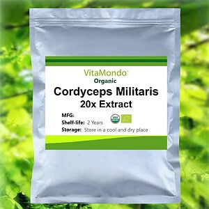 Organic Cordyceps Militaris Extract Supplement