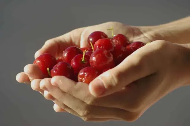 Organic Acerola Cherry Extract Powder: 100g-1kg – Vitamin C, Polyphenols