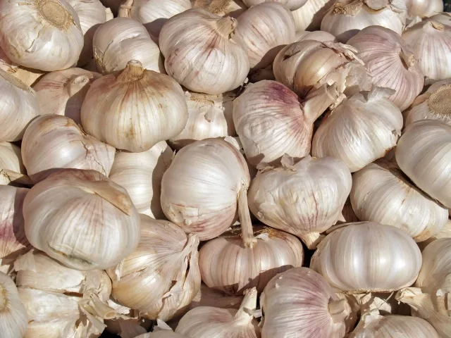 Premium Allicin 20% Supplement: 100g-1kg – Garlic, Heart, Immune