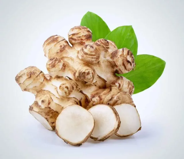 Organic Inulin 95%: 100g-1kg – Probiotic Fibers, Sunchoke Extract