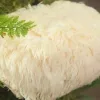 Organic Lion’s Mane Mushroom Powder: 100g-1kg – Neuro, BDNF, Dried