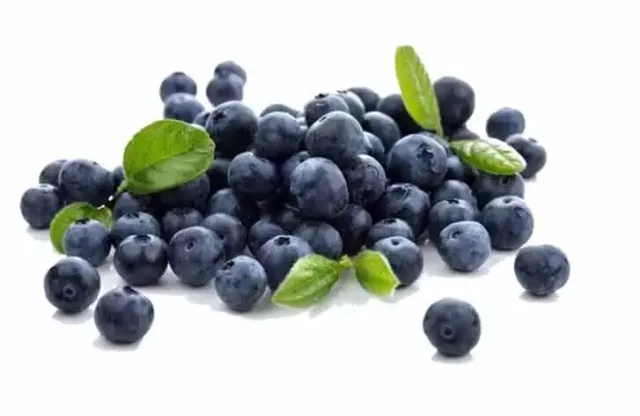 Organic Blueberry Juice Powder: 100g-1kg – Anthocyanins