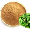 Organic Nettle Extract Powder: 100g-1kg – Health