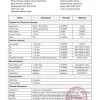 Organic Green Tea Extract: 100g-1kg – Polyphenols, Antioxidants