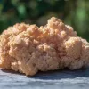 Organic Lion's Mane Mushroom
