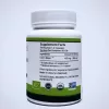 Organic Lion’s Mane Mushroom: 500 mg * 100 Capsules – Neurotrophic Growth