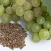 Organic Grape Seed Extract Powder: 100g-1kg – 95% OPC