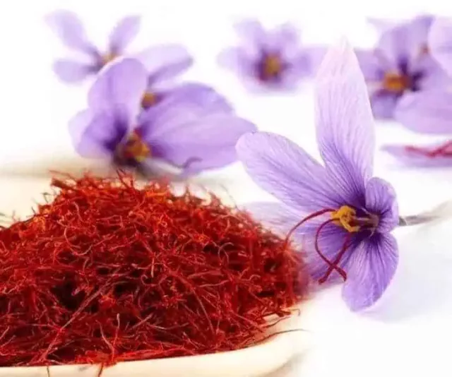 (Sold Out) Saffron Powder: 1g-20g – Health, Threads (Sold Out)