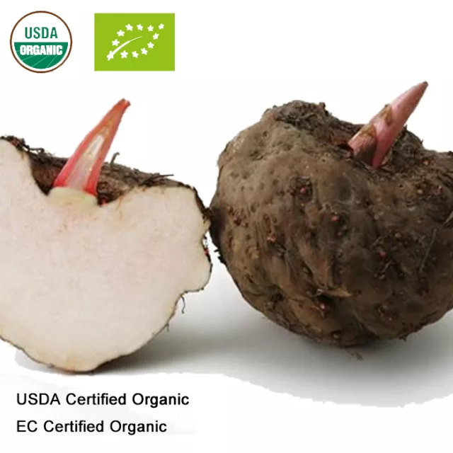 Organic Glucomannan Powder: 100g-1kg – Konjac Root Extract